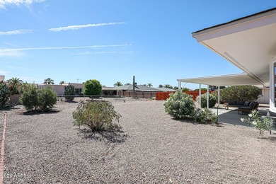 Luxury remodel in the 55+ active-adult community of Sun City - photo 36