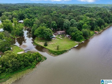 The coziest 3 bedroom 2bath home on the Black Warrior River - photo 36