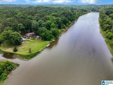The coziest 3 bedroom 2bath home on the Black Warrior River - photo 37