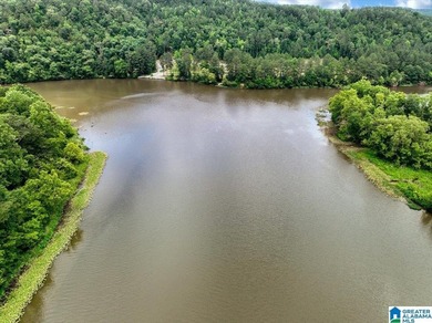 The coziest 3 bedroom 2bath home on the Black Warrior River - photo 38