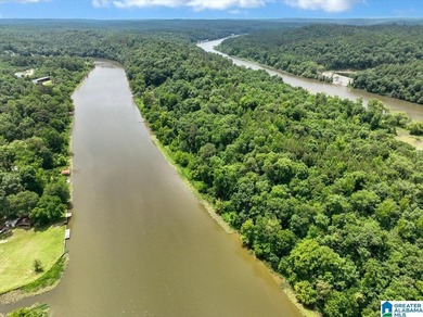 The coziest 3 bedroom 2bath home on the Black Warrior River - photo 39