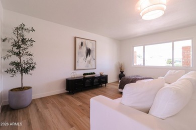 Luxury remodel in the 55+ active-adult community of Sun City - photo 40