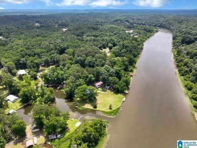 The coziest 3 bedroom 2bath home on the Black Warrior River - photo 40