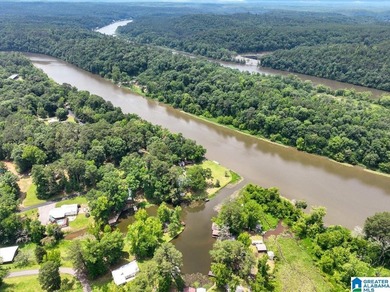 The coziest 3 bedroom 2bath home on the Black Warrior River - photo 41