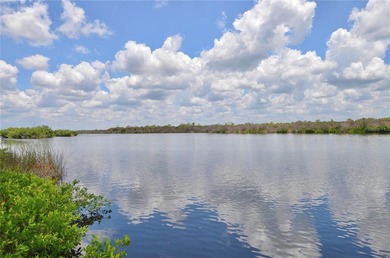 Virtually Staged. One of Sarasota County's Most Unique - photo 42