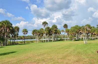 Virtually Staged. One of Sarasota County's Most Unique - photo 43