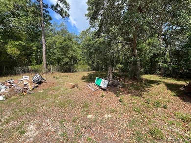 Situated on a half-acre homesite, this property offers - photo 6