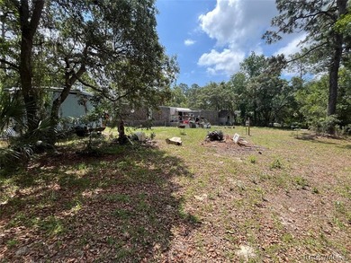 Situated on a half-acre homesite, this property offers - photo 7