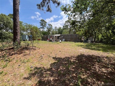 Situated on a half-acre homesite, this property offers - photo 9