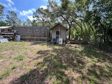 Situated on a half-acre homesite, this property offers - photo 10
