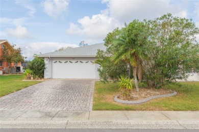 Lake Home For Sale in Sun City Center, Florida