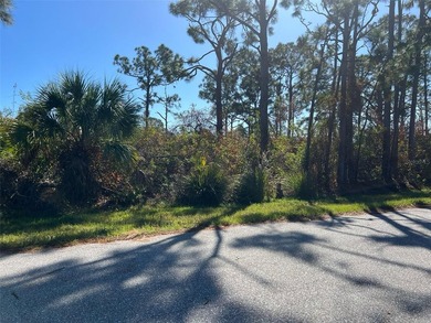 Unmissable Opportunity: Land for Sale in Port Charlotte!

If - photo 3