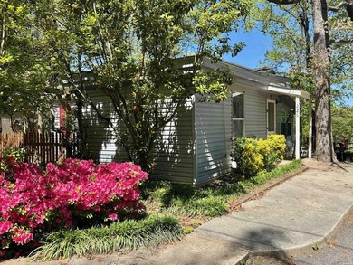 Two lake houses on one lot, right in the heart of Hot Springs - photo 3