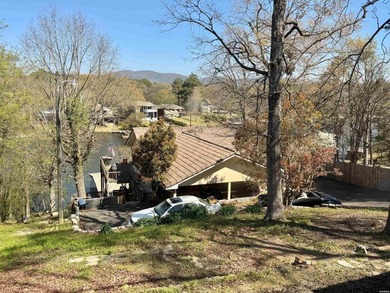 Two lake houses on one lot, right in the heart of Hot Springs - photo 6