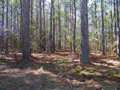 NICE 2.68 Acre Waterfront Lot @ Lake Russell - photo 4