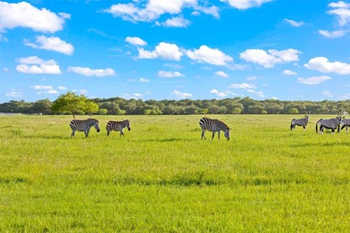 Ehrman Ranch is a rare nearly 200-acre offering in Wallis, Texas - photo 26
