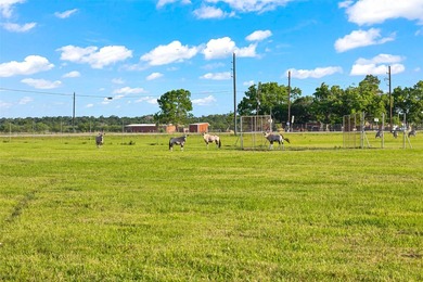Ehrman Ranch is a rare nearly 200-acre offering in Wallis, Texas - photo 27