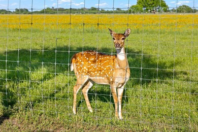 Ehrman Ranch is a rare nearly 200-acre offering in Wallis, Texas - photo 28