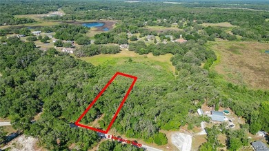 Tsala Apopka Chain of Lakes Lot For Sale in Inverness Florida