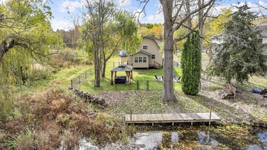 Big Wolf Lake Home For Sale in Grass Lake Michigan