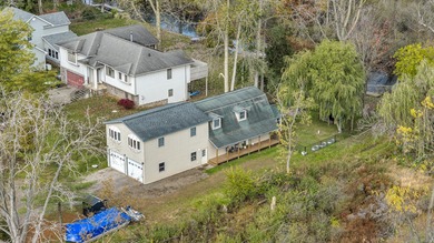 Big Wolf Lake Home For Sale in Grass Lake Michigan