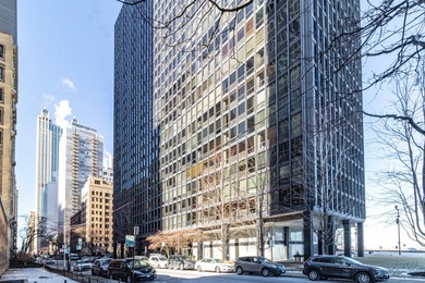 Lake Michigan - Cook County Condo For Sale in Chicago Illinois