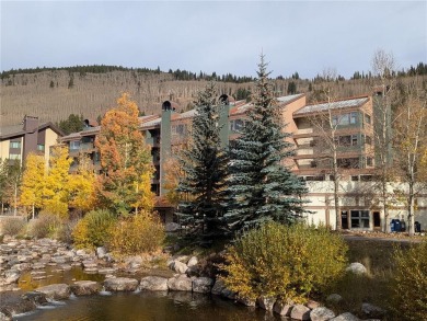 Lake Condo For Sale in Copper Mountain, Colorado