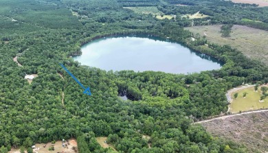(private lake, pond, creek) Acreage For Sale in Ponce De Leon Florida