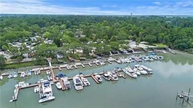 Watch dolphins swim, manatees, bird and wildlife all from this - photo 1