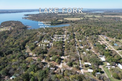 2 RVs on 3 Lots in White Oak Shores at Lake Fork in Yantis Tx - photo 4