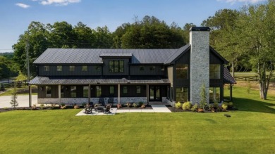 Lake Home For Sale in Copperhill, Tennessee
