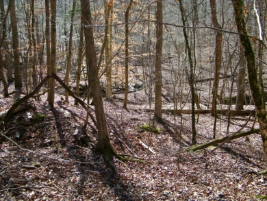 NICE 2.68 Acre Waterfront Lot @ Lake Russell - photo 9