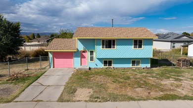 Colorado River Home For Sale in Grand Junction Colorado