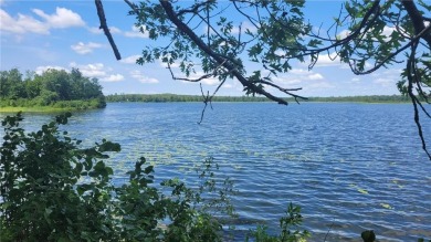 Lake Acreage For Sale in Longville, Minnesota