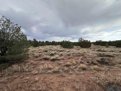 Bluewater Lake Acreage Sale Pending in Bluewater Lake - South New Mexico
