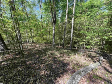 Lake Lot For Sale in Westminster, South Carolina