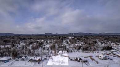 Magnifique terrain constructible de 47 631 pi2 (4 426 m2) - photo 3