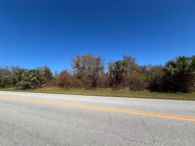 Land for Sale in Port Charlotte. A great opportunity not to be - photo 3