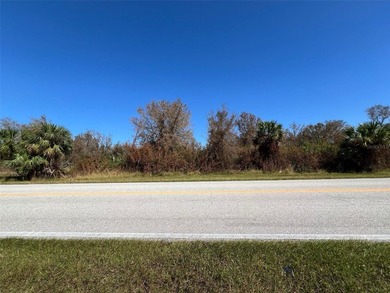 Land for Sale in Port Charlotte. A great opportunity not to be - photo 4
