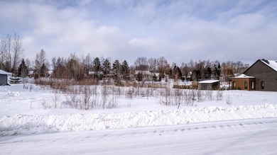 Magnifique terrain constructible de 47 631 pi2 (4 426 m2) - photo 6