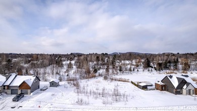 Magnifique terrain constructible de 47 631 pi2 (4 426 m2) - photo 8