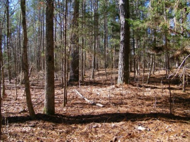 NICE 2.68 Acre Waterfront Lot @ Lake Russell - photo 5