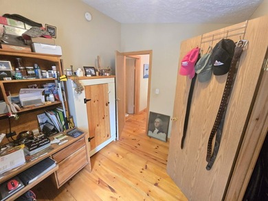 Check out this fully remodeled 3-bed, 2-bath home with a heated - photo 18