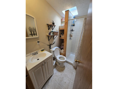 Check out this fully remodeled 3-bed, 2-bath home with a heated - photo 26