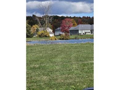 Lake Lot For Sale in Onsted, Michigan