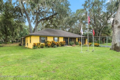 Lake Home For Sale in Lake Panasoffkee, Florida