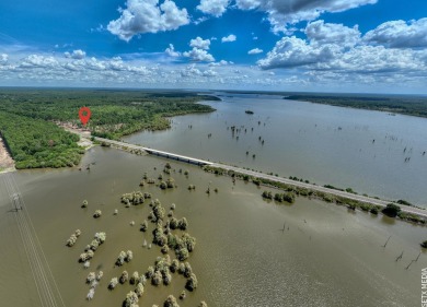 Lake Lot For Sale in Broaddus, Texas