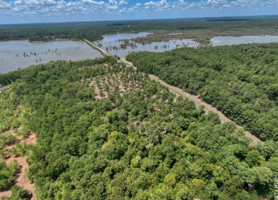 Lake Acreage For Sale in Broaddus, Texas