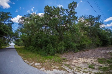 Lake Lot Sale Pending in Dunnellon, Florida