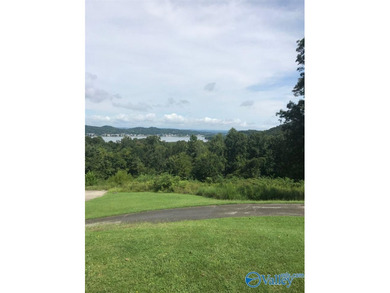 15 +- acres in Guntersville city limits. Development potential - photo 4